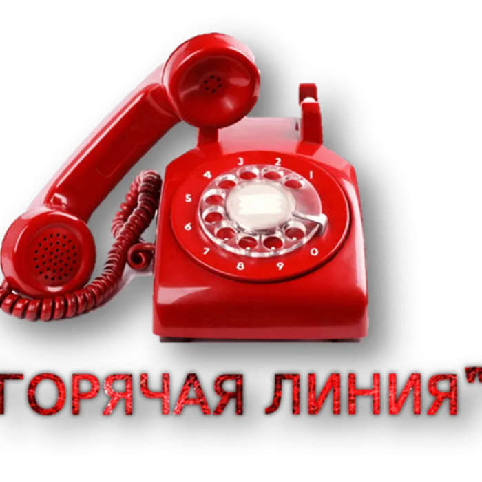 О работе «горячей линии» по вопросам детского отдыха, качества и безопасности детских товаров