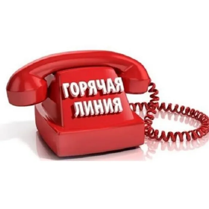 «Горячая линия» по вопросам качества и безопасности детских товаров и школьных принадлежностей
