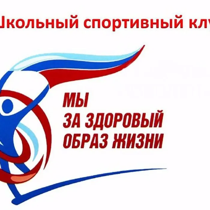Школьный спортивный клуб